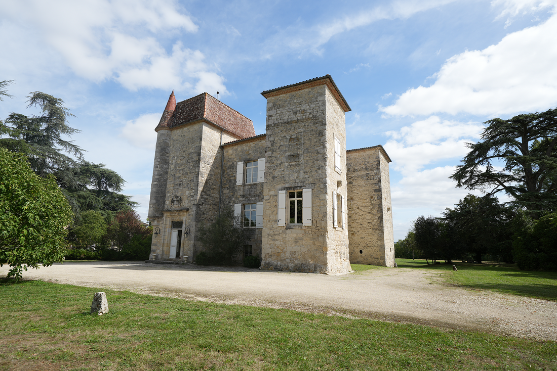 Vendanges 2025 au Château de Gensac : un millésime capricieux et prometteur