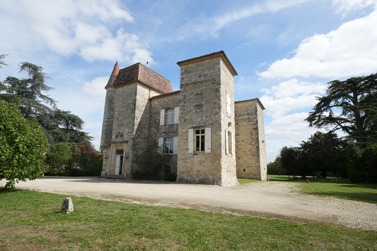 Vendanges 2025 au Château de Gensac : un millésime capricieux et prometteur